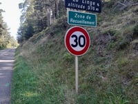 Collet du Linge von Col du Wettstein