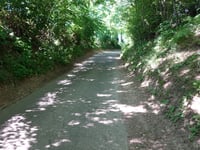 Colmont