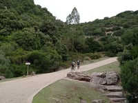 Colombariu
