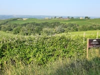Colonnetta di Prodo desde Corbara