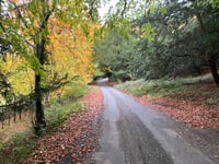 Colstrope Lane