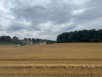 Combe Gibbet über Combe