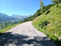 Combelouviere da Grand Coeur