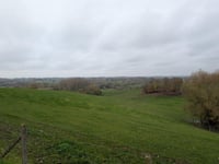 Congoberg from Denderwindeke