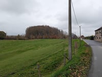 Congoberg from Denderwindeke