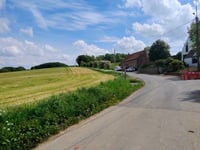 Congoberg