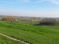 Congoberg