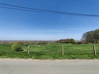 Congoberg