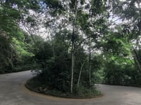 Corcovado / Cristo Redentor desde Laranjeiras por Rua Cosme Velho