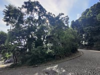 Corcovado / Cristo Redentor da Laranjeiras via Rua Cosme Velho