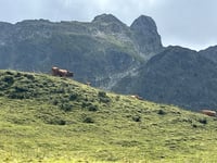 Cormet de Roselend da Bourg-Saint-Maurice