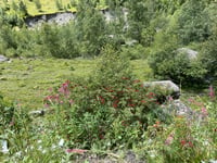 Cormet de Roselend da Bourg-Saint-Maurice