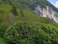 Cornalba depuis Ola