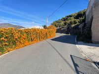Cortijo de Gaona da Torrox