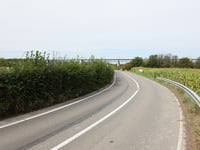 Cosenberg über Bambusch