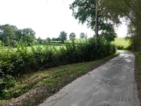 Cosenbergerheydt