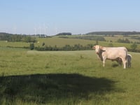 Côte d'Embry