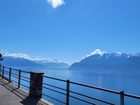 Côte de Bellevue von Cully