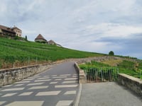 Grandvaux von Lutry über La Petite Corniche