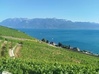Grandvaux von Lutry über La Petite Corniche