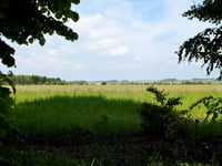 Côte de Bende von Jenneret