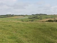 Côte de Beurre von Manihen