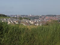 Côte de Beurre von Manihen