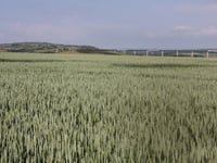 Côte de Beurre von Manihen
