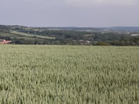 Côte de Beurre von Manihen