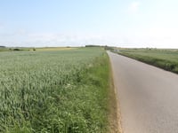 Côte de Beurre von Manihen