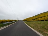 Côte de Brume da Trois-Ponts
