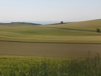 Côte de Camiers