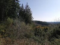 Côte de Chamboulive from Madrange