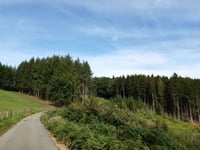 Côte de Chevofosse