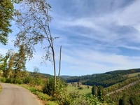 Côte de Chevofosse