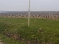 Côte de Courgis von Chablis