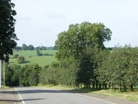 Côte de Dalhem