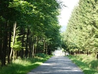 Côte de Desnie von Ville au Bois