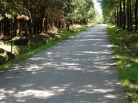 Côte de Desnie von Ville au Bois