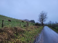 Côte de Floriheid via Route de Préaix