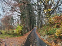 Côte de Floriheid via Route de Préaix