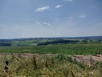 Côte de Forêt