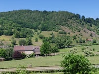 Côte de Forêt