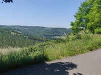 Côte de Forêt