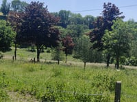 Côte de Forêt