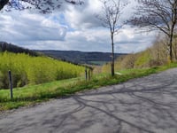 Côte de Forêt