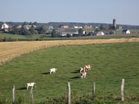 Côte de Holtz from Perlé