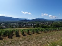 Côte de Jongieux