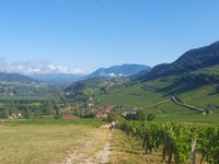 Côte de Jongieux