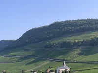 Côte de Jongieux